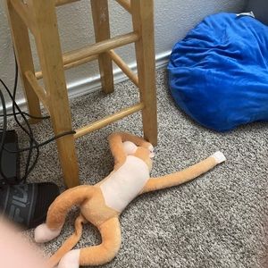 Meet your Posher, Ernest